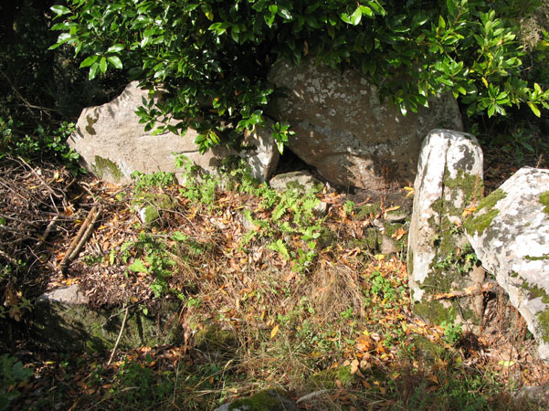 Dolmen de Kerdro Vihan